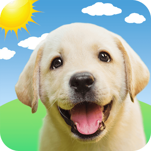 Weather Puppy - App & Widget
