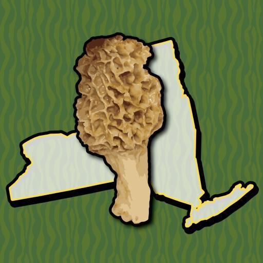 New York Mushroom Forager Map