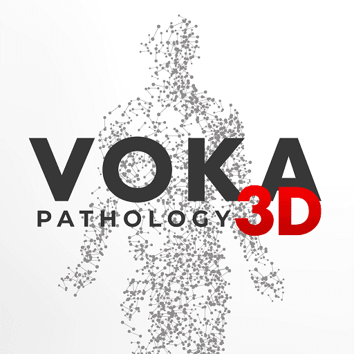 VOKA Pathology 3D
