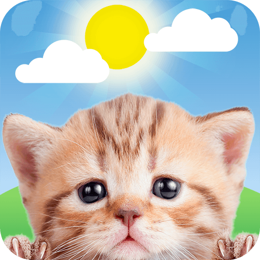 Weather Kitty - App & Widget