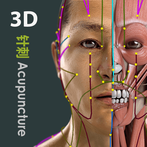 Visual Acupuncture 3D