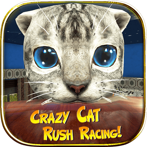 Crazy Cat Rush Racing Run Kitt