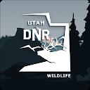 Utah Hunting and Fishing