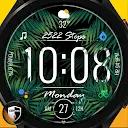 Go Green Watch Face 017