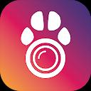 PetCam App - Dog Camera App