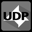 UDP Monitor