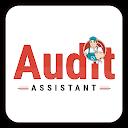 Audit Assistant - inspection